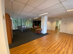 IMG_7512.jpg