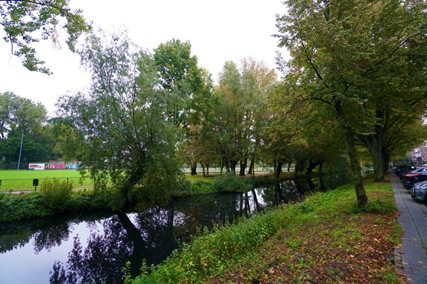 Medium property photo - Essenburgsingel, 3022 EK Rotterdam