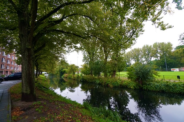 Medium property photo - Essenburgsingel, 3022 EK Rotterdam