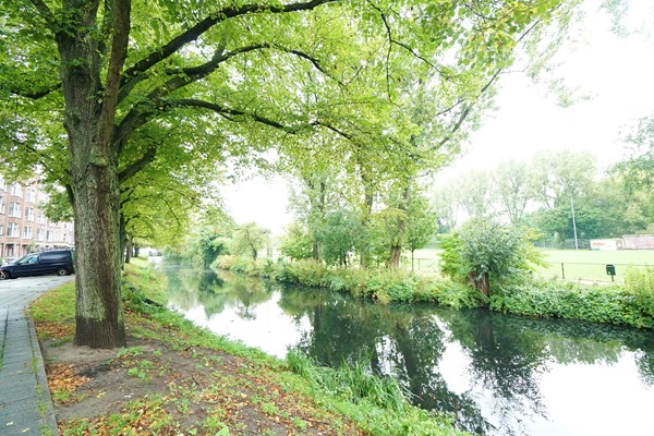 Medium property photo - Essenburgsingel, 3022 EK Rotterdam