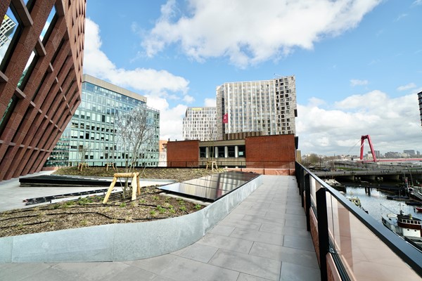 Medium property photo - Wijnhaven, 3011 WJ Rotterdam