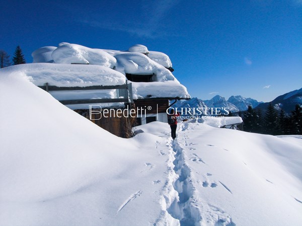 Medium property photo - 32040 Valle di Cadore