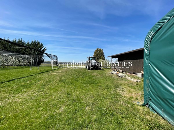 Medium property photo - 33048 Chiopris-Viscone