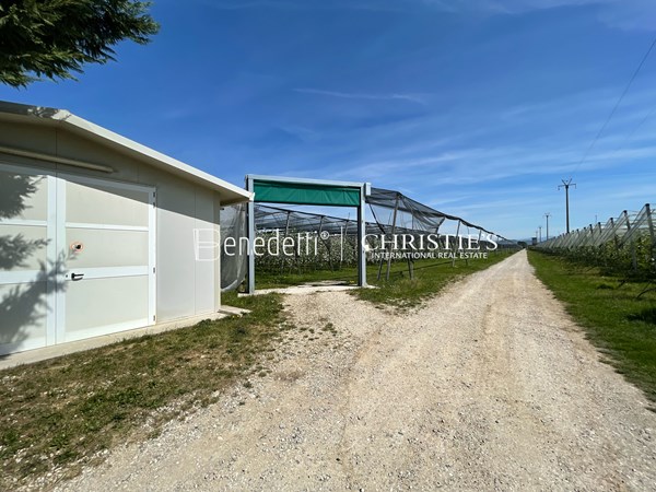 Medium property photo - 33048 Chiopris-Viscone