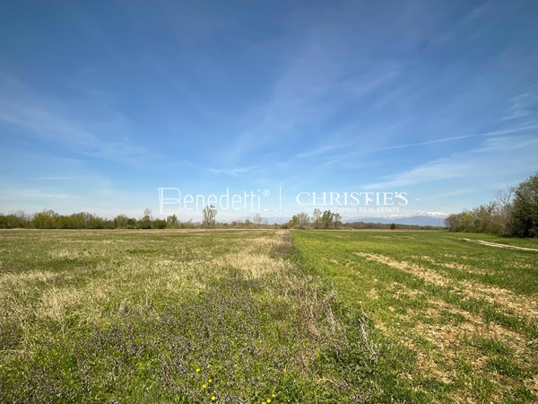 Medium property photo - 33048 Chiopris-Viscone