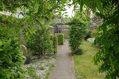 DSCF6208.jpg