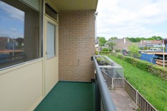 DSCF6259.jpg