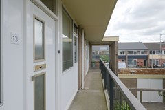 DSCF6264.jpg