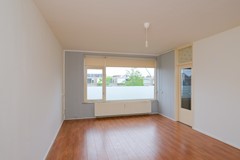 DSCF6217.jpg