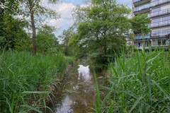 DSCF9027.jpg