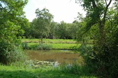 DSCF4843.jpg