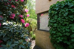 DSCF9005.jpg