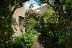 DSCF9015.jpg
