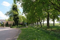 DSCF8980.jpg