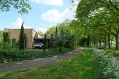 DSCF9017.jpg