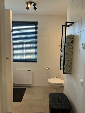 Medium property photo - Van Wulfften Palthestraat 38, 7602 DG Almelo