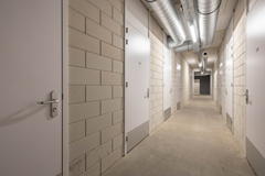 Screenshot 2025-05-20 at 10.39.48.png