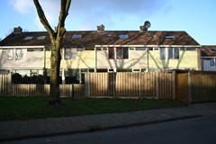 free-sector-houses for rent on Grovestins 32