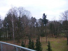 DSCF3617.JPG