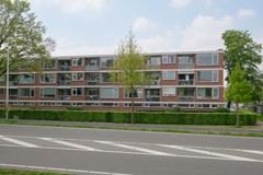DSCF3359.jpg