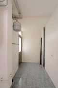 DSCF1137.jpg