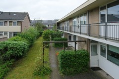 DSCF1122.jpg
