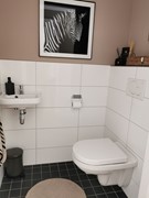 IMG_20220815_154714.jpg