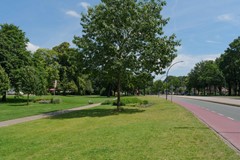 DSCF2498.jpg