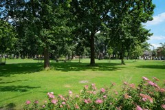 DSCF2586.jpg