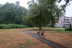 DSCF5932.jpg