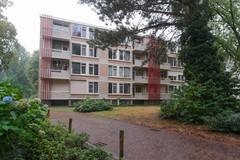 DSCF5937.jpg