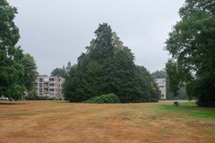 DSCF5944.jpg
