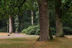DSCF5958.jpg