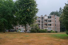 DSCF5950.jpg