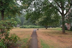 DSCF5922.jpg