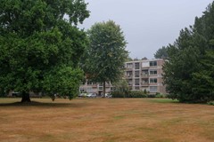 DSCF5947.jpg