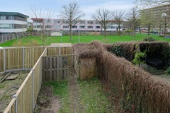 DSCF5424.jpg