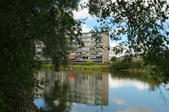 DSCF6626.jpg