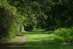 DSCF6622.jpg