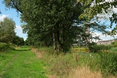 DSCF6623.jpg