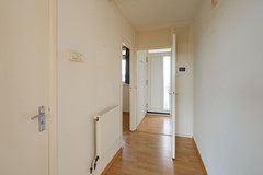 DSCF6660.jpg