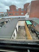 IMG_1350.jpeg