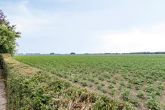 Vissersverkorting34554LRWestdorpe-21.jpg