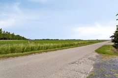Vissersverkorting34554LRWestdorpe-22.jpg