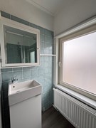 IMG_1946.jpeg