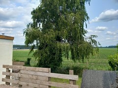 28-tuin.jpeg