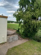 29-tuin.jpeg