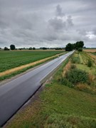 42-straat.jpeg