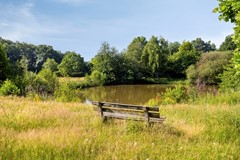 ErveBroenink437577naOldenzaalNL-54.jpg