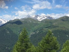 Blick von Alm nach Westen